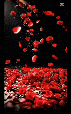a woman is surrounded by red roses and the name roatan is visible
