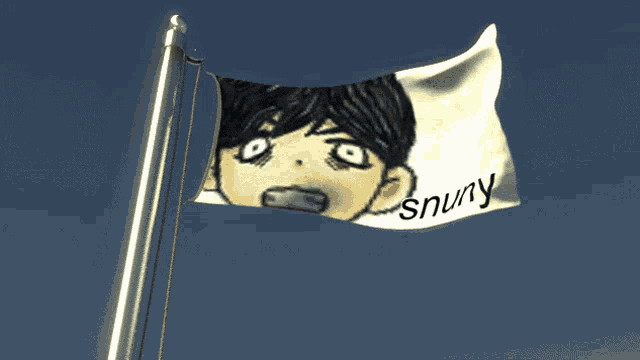 a flag with a picture of a boy and the word snuny on it