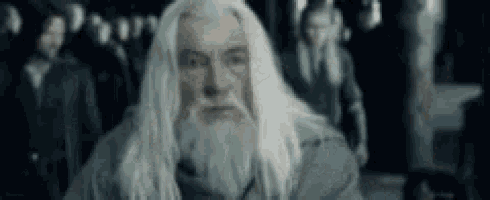 a man with long white hair and a beard is looking at the camera .