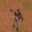 a blurry picture of a person in a suit standing on a purple surface .