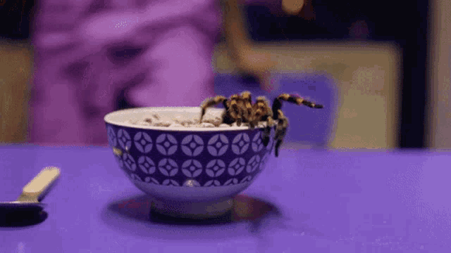 a spider is sitting on a bowl of cereal