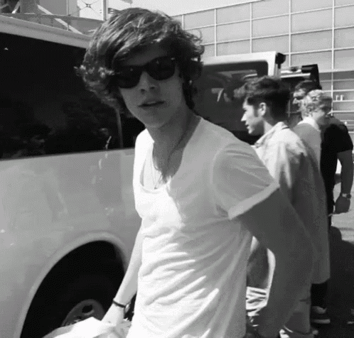 a man wearing sunglasses and a white shirt stands in front of a white van