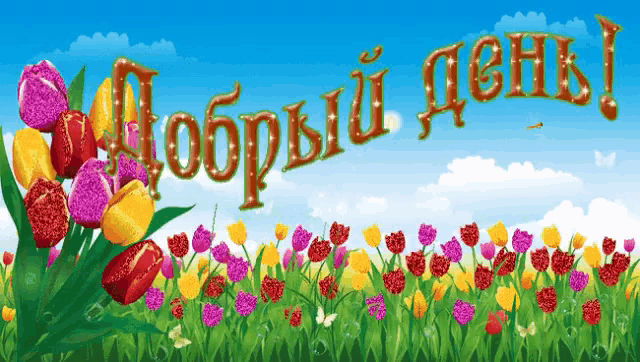 a bunch of colorful flowers are in a field with the words " добрый день " in gold letters