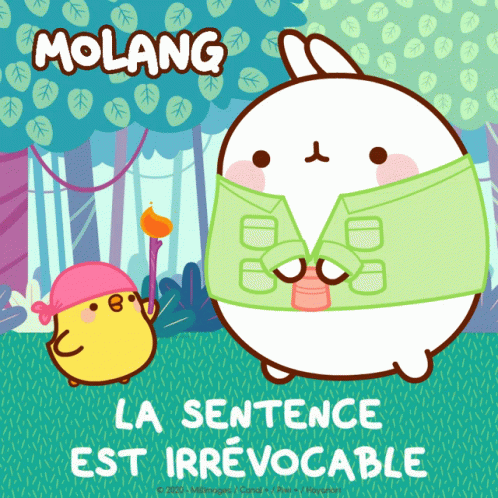 La Sentence Est Irrevocable Molang GIF - La Sentence Est Irrevocable Molang The Sentence Is Irrevocable GIFs
