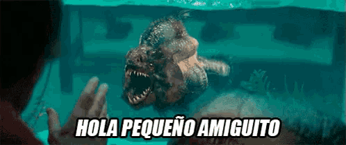 a picture of a shark with the words hola pequeno amiguito written below it