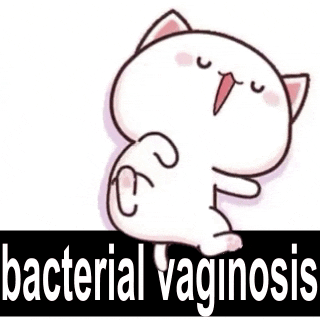 a cartoon cat with the words `` bacterial vaginosis '' written on it 's back .