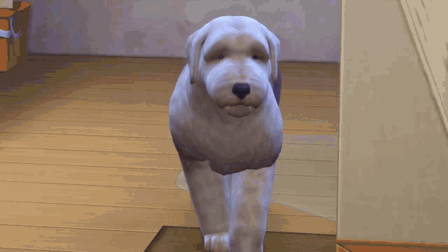 a purple and white dog is standing on a wood floor