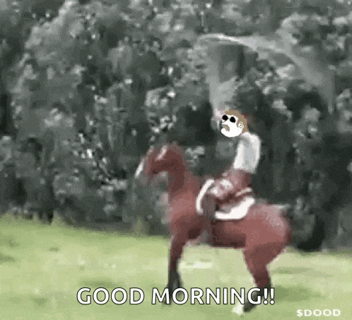 a man is riding a horse in a field with the words `` good morning '' .