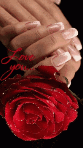 a woman 's hands holding a red rose with the words love you written below it