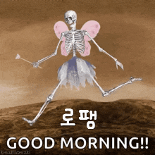 a picture of a skeleton dressed as a fairy with the words " good morning " below it