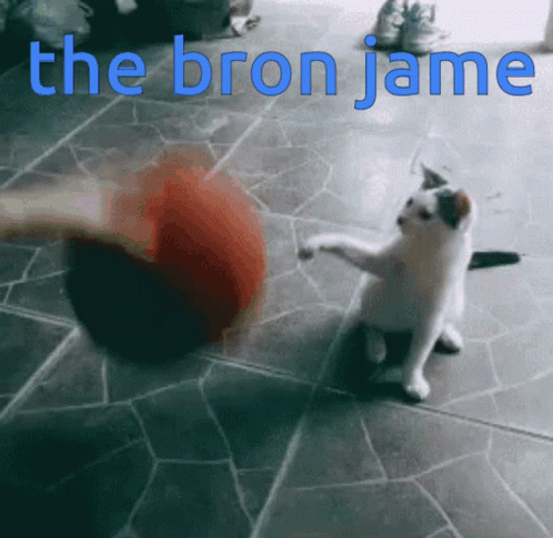 The Bron Jame Jame GIF - The Bron Jame The Bron Jame GIFs