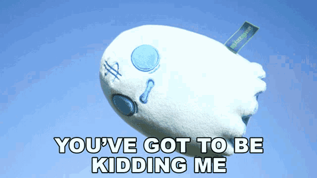 a stuffed ghost with the words you 've got to be kidding me
