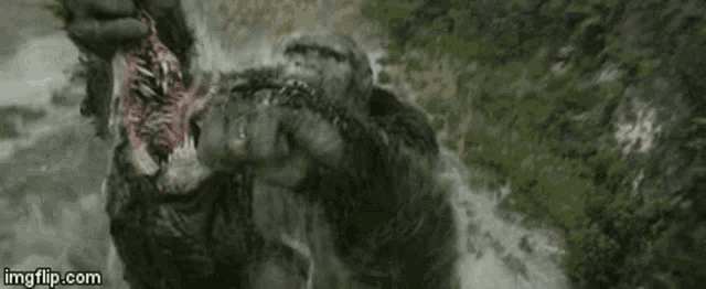 King Kong Battle GIF - King Kong Battle Fight GIFs