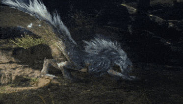 a gray and white animal with a long tail is standing on a rock