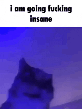 a cat is standing in front of a blue background with the words `` i am going fucking insane '' written on it .