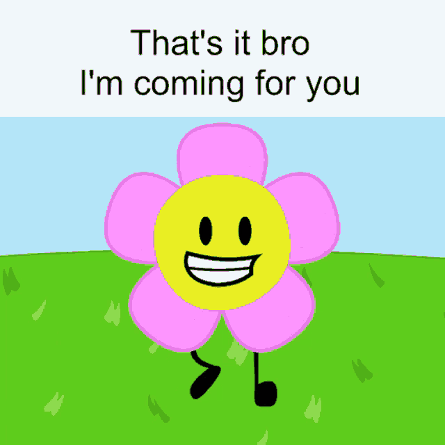 a cartoon flower with a smiley face and the words that 's it bro i 'm coming for you below it