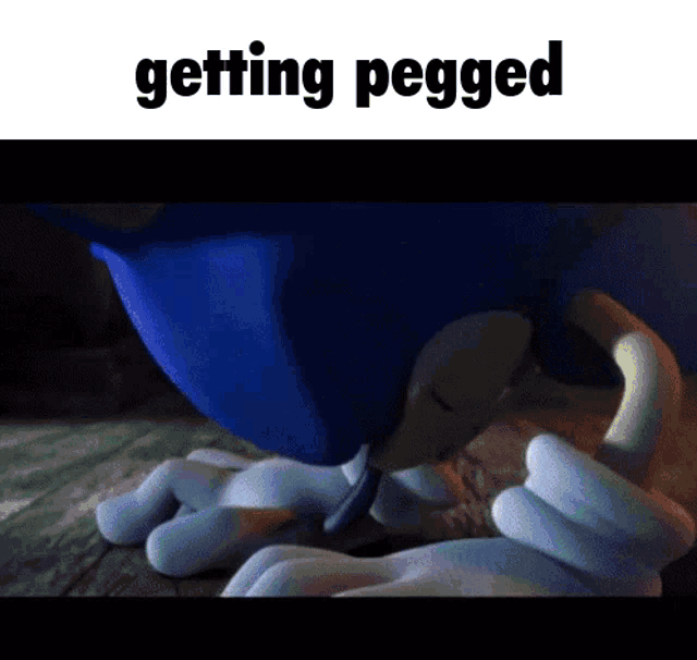 a picture of sonic the hedgehog with the words getting pegged below him