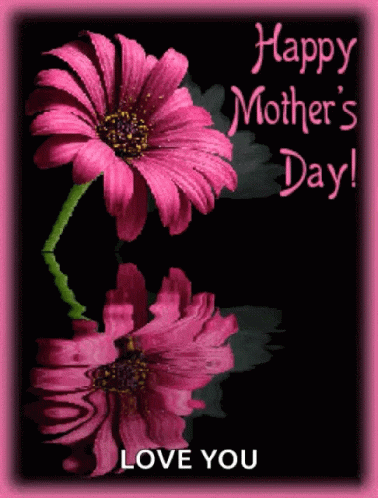 Happy Mothers Day Flower GIF - Happy Mothers Day Flower Water GIFs