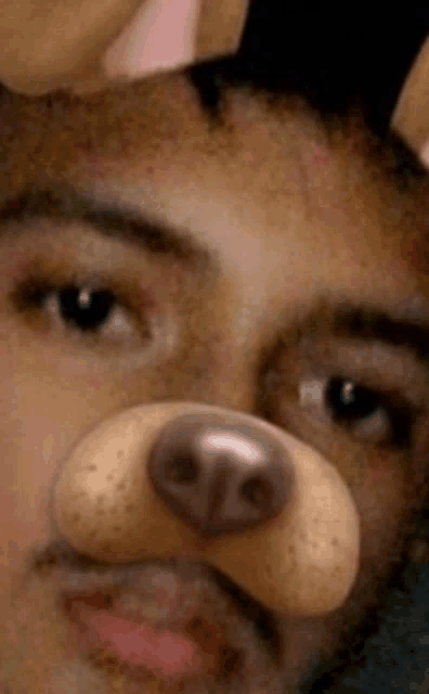a man is wearing a fake dog nose on his face .