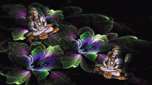 Lord Shiva Flower GIF - Lord Shiva Flower Changing Colors GIFs