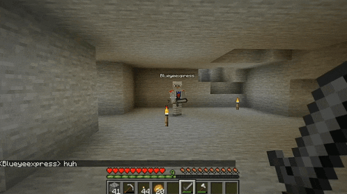 a screenshot of a minecraft game with a message that says blueexpress huh