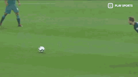 a group of soccer players are playing a game on a soccer field .
