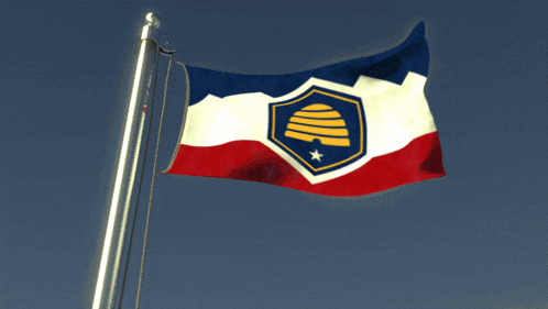 a red white and blue flag with a beehive in the middle
