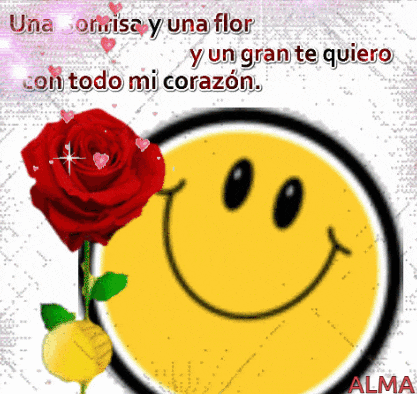 a smiley face with a red rose in front of it
