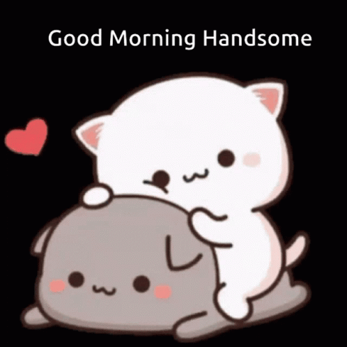 Good Morning Handsome GIF - Good Morning Handsome GIFs
