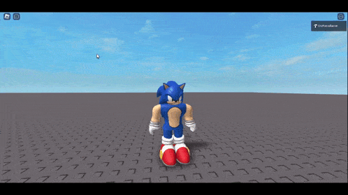 a screenshot of sonic the hedgehog in a roblox video game