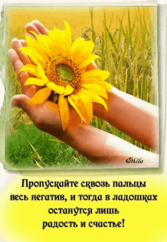 a picture of a person holding a sunflower in their hands with russian writing