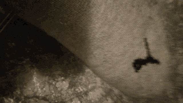 a shadow of a person is visible on a carpet