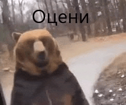 a bear is standing on a sidewalk in a park .