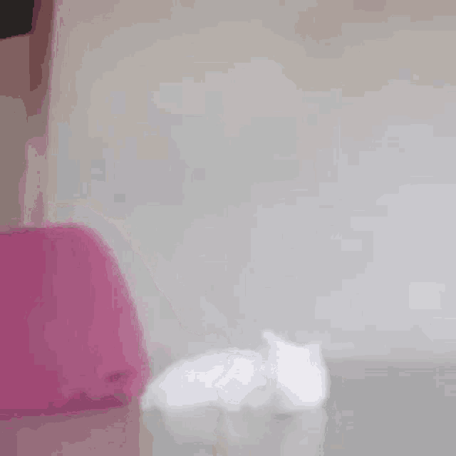 a white cat is sitting on a pink blanket on a bed .