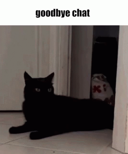 Goodbye Chat Cat GIF - Goodbye Chat Cat GIFs