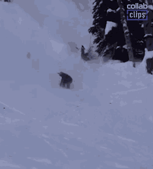a person skiing down a snow covered slope with the words collab clips on the bottom right