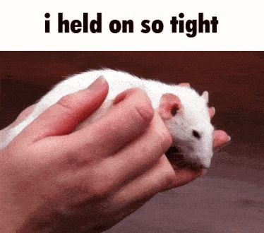 a person is holding a white rat in their hands with the words " i held on so tight " above it