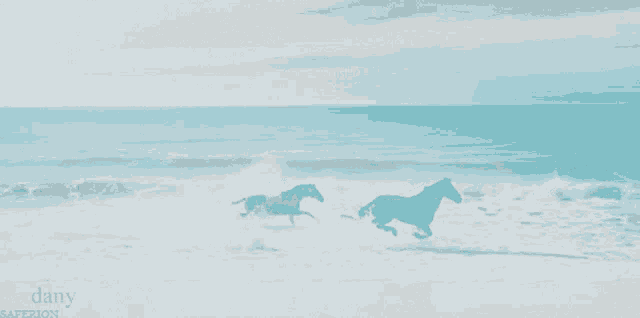 two horses running on a beach with the word dany on the bottom right