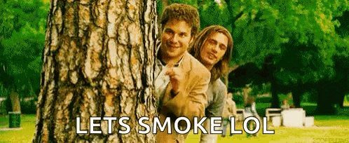 two men peeking out from behind a tree in a park with the words `` lets smoke lol '' .