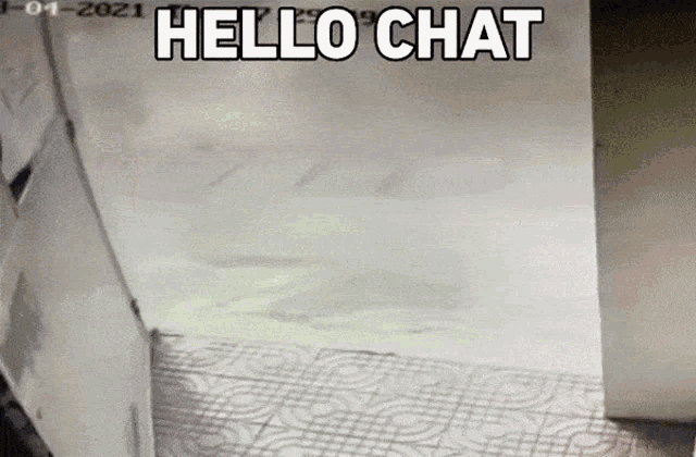 Hello Chat Dead Chat GIF - Hello Chat Dead Chat Bye Chat GIFs
