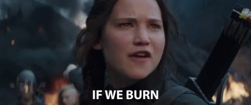 If We Burn You Burn GIF - If We Burn You Burn Go Down With Us GIFs