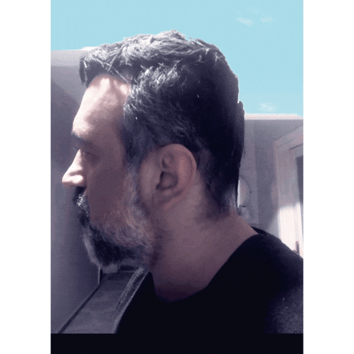 a man with a beard is wearing a black shirt and has a blue sky behind him