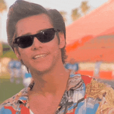 Jim Carrey Ace Ventura GIF - Jim Carrey Ace Ventura Ace Ventura Jim Carrey GIFs