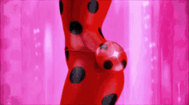 Ladybug And GIF - Ladybug And Cat GIFs