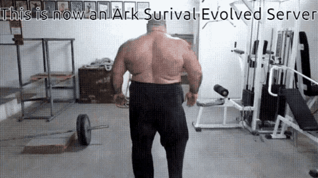 Ark This Is Now GIF - Ark This Is Now Ark Survival Evolved GIFs