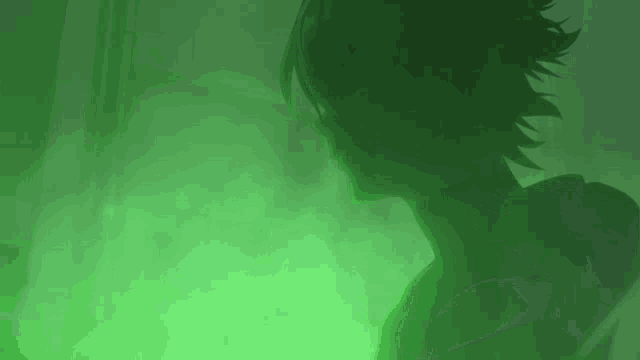a silhouette of a person standing in a green fog