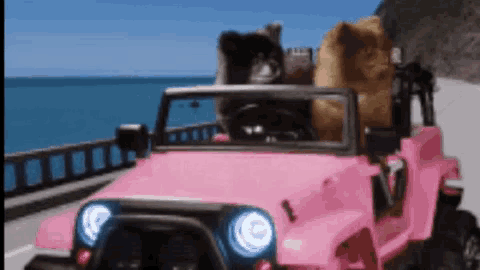 Dogs Car GIF - Dogs Car Funny Animals GIFs