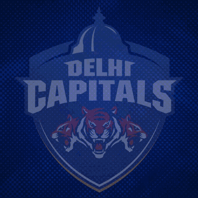 Delhicapitals Dc GIF - Delhicapitals Dc Ipl GIFs