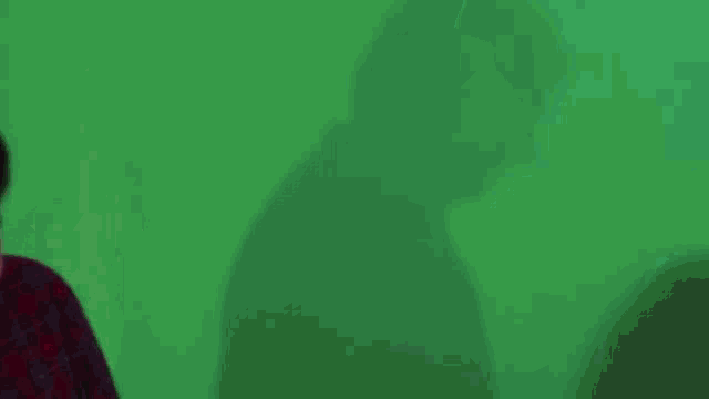 a young man in a plaid shirt is smiling in front of a green screen .