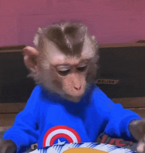 Monkey Weirded Out GIF - Monkey Weirded Out Umm GIFs